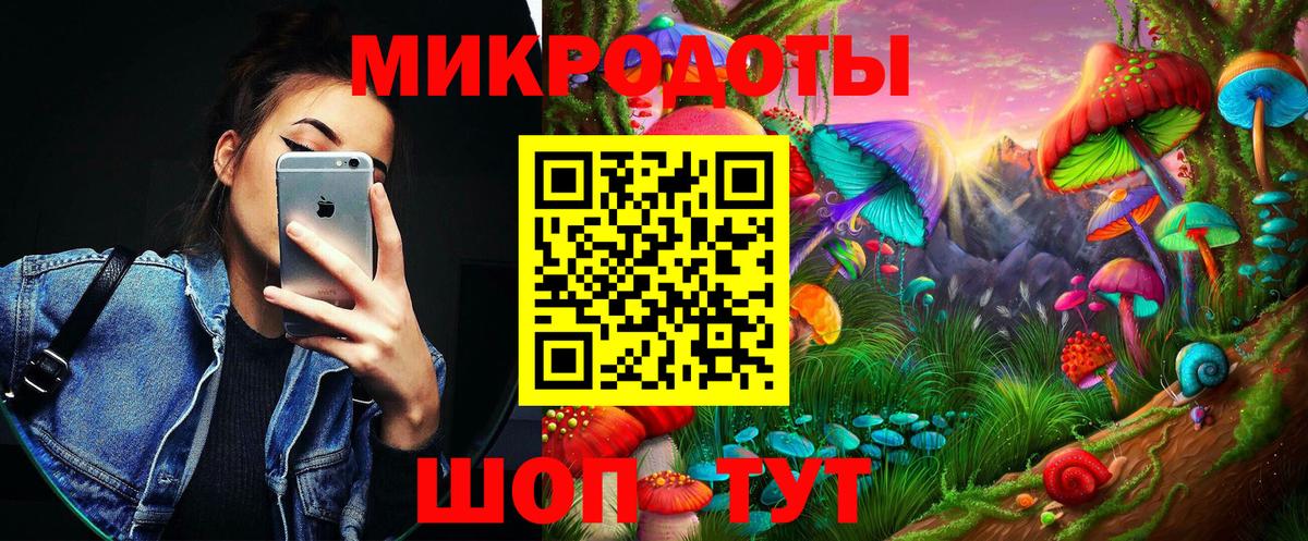Галлюциногенные грибы Psilocybine cubensis Красногорск