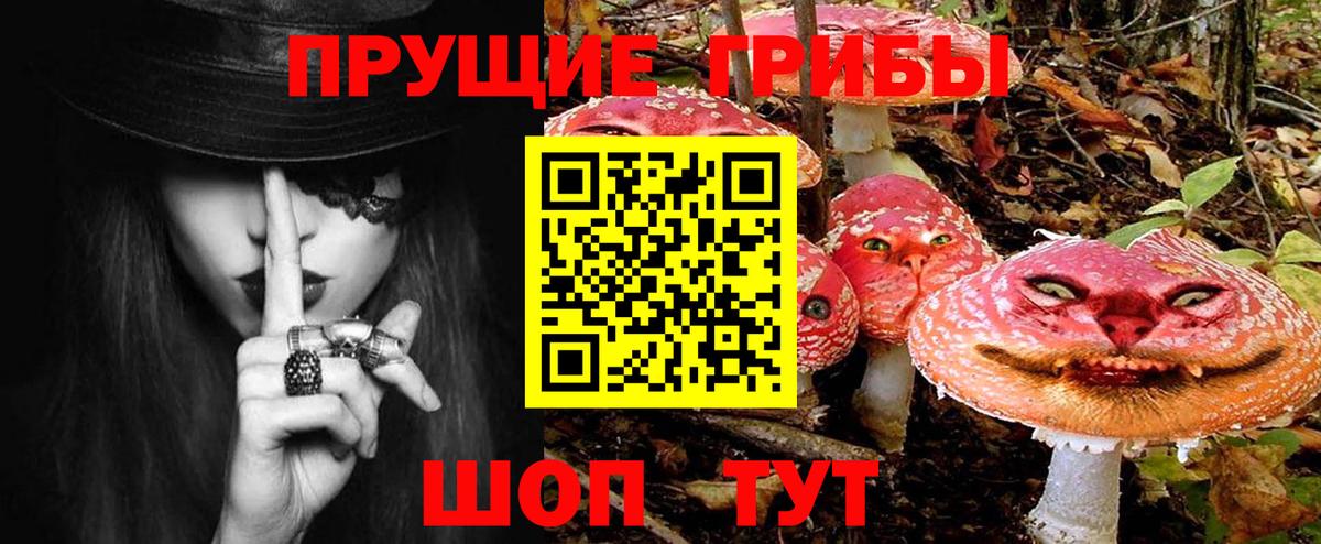 Галлюциногенные грибы Psilocybe  Вход с VPN  Галлюциногенные грибы Magic Shrooms  Красногорск 